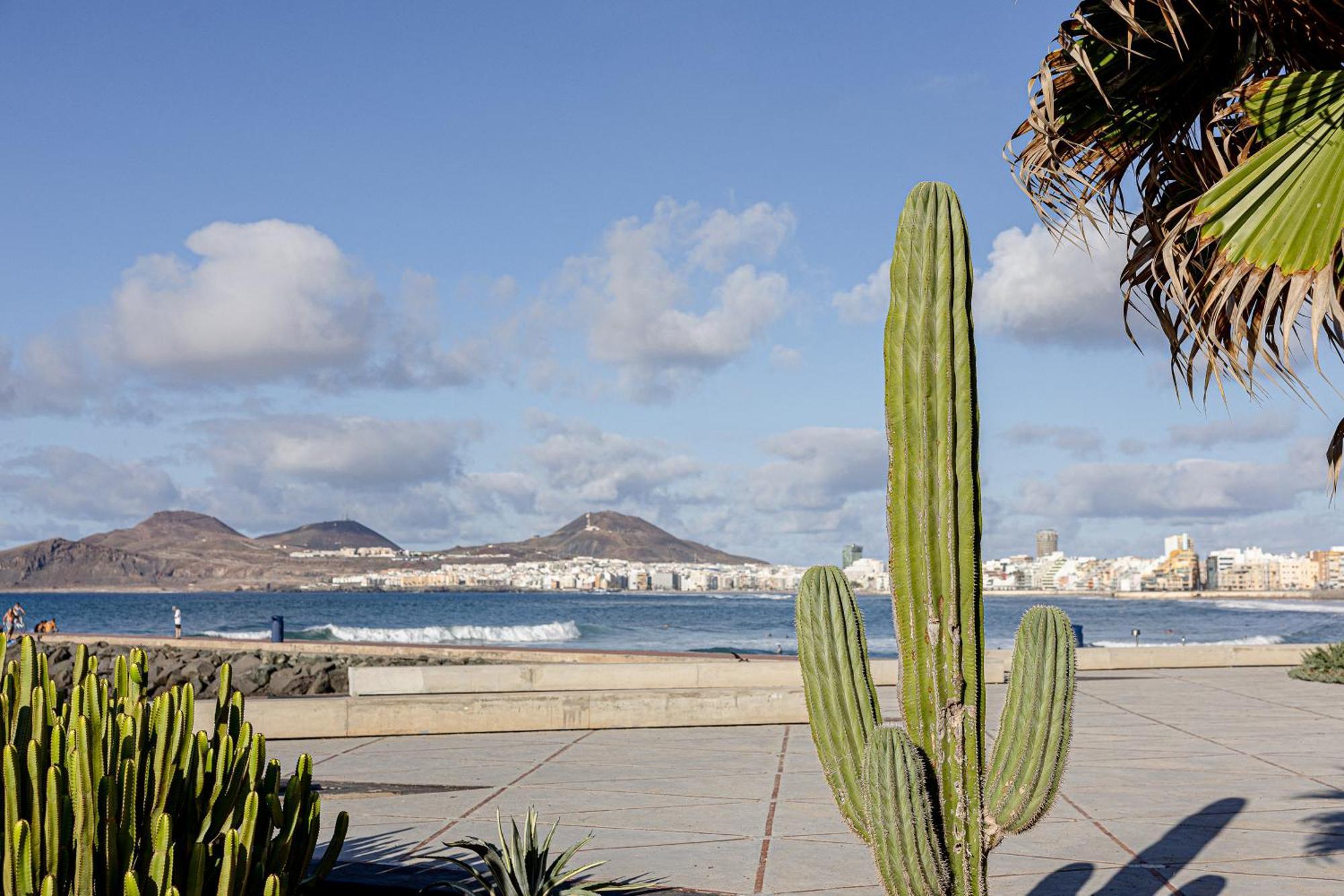 Bambu Suites Vegueta Alquiler Por Habitacion Las Palmas de Gran Canaria Bagian luar foto