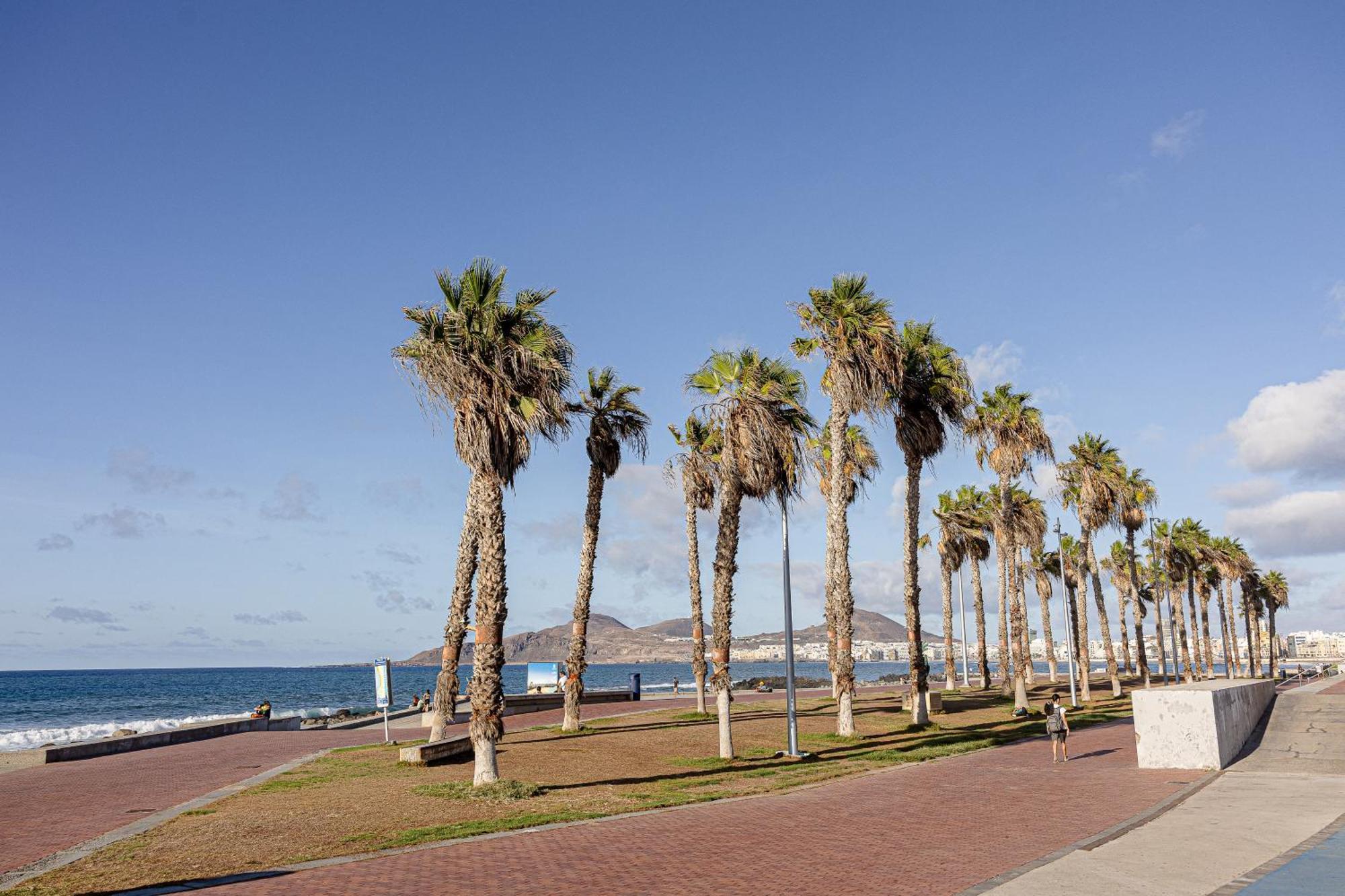 Bambu Suites Vegueta Alquiler Por Habitacion Las Palmas de Gran Canaria Bagian luar foto